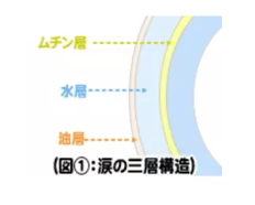 涙液